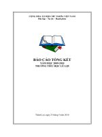 bao cao tong ket nam hoc 2009-2010