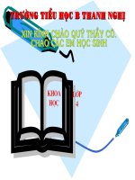khoa hoc lop 4