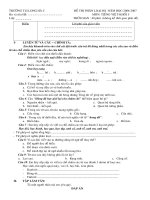 Đề T.Việt phân loại HS 5