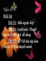 Tiết 53: Dấu ngoặc kép