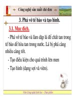 Công nghệ sản xuất chè đen: phá vỡ tế bào, tạo hình