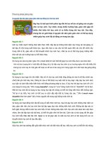 *8 Nguyên tắc dạy học