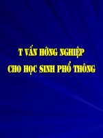 Nội dung tư vấn HN cho học sinh THCS