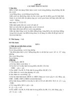 TU CHON TOAN 10 CB ( CAC PHEP TINH VECTO)