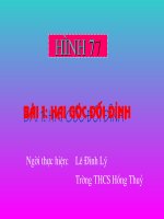 Tiết 1 - Hai góc đối đỉnh (Hình 7)