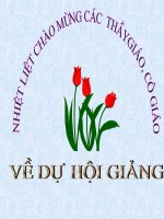 Bai 13  Moi truong Doi on hoa