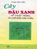 cay dau xanh ky thuat trong va che bien split 1 3699 