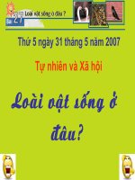 TNXH 2: loai vat song o dau