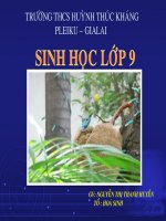 Hệ sinh thái - Sinh 9
