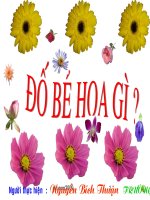 Đố bé hoa gì?