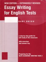 IELTS essay writing 