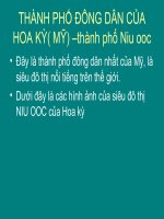 thành phố đông dân của Mỹ (dạy bài siêu đô thị)