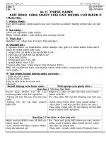 Tuần 8- tiết 15-vl9