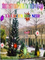 Tiết 17 bài 12: Mối quan hệ giữa các hợp chất...