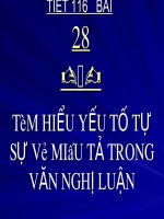 Tim hieu yeu to mieu ta va tu su trong van nghi luan