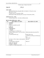 Giáo án Mĩ thuật 1, HK2 CKTKN