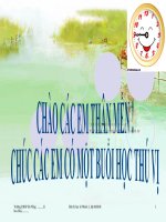 Bai 39, 40. Anken, cơ bản 11