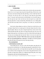 Sáng kiến kinh nghiệm hóa THCS