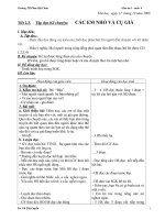 GA lớp 4Tuần 9- CKTKN - 2010