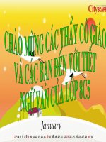 Ngữ văn 8: Truyện kí Việt Nam