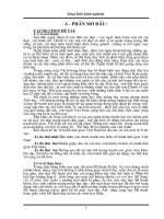 SANG KIEN KINH NGHIEM - THUAN HAY- 2010