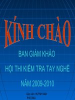 sự sinh sản của chim