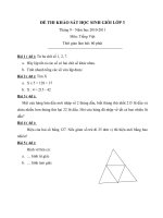 Đề khảo sat HSG Toán 3