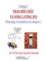 TRAO ĐỔI CHẤT VÀ NANG LUONG P5