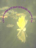 Động vật ( TNXH lớp 3)