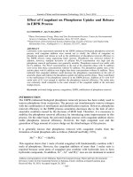 Effect of Coagulant on Phosphorus Uptake and Release in EBPR Process