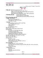 G.a lớp 1 tuần 12 ( BL )