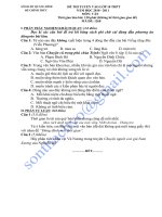 Đề thi TS vào lớp 10 môn Ngữ Văn 2010 - 2011 - Quảng Bình