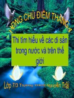 Thi tìm hiểu các di sản văn hoá