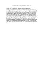 TẠI SAO GẤU MÈO LẠI TRỞ THÀNH ĐỘNG VẬT ĂN CHAY