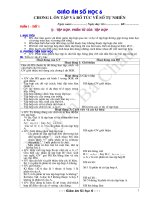 Giáo án Số học 6 (HKI)