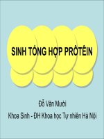 Sinh tổng hợp prôtêin