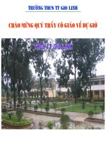 UNIT 11 LANGUAGE FOCUS