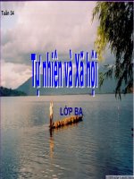 bề mặt lục địa