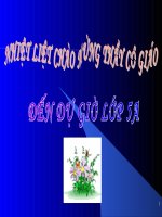 Bài: CÂY CỐI - TRỒNG CÂY