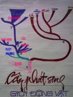 Bài 8 . thủy tức