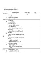 Kế hoạch đội theo tuần 2010