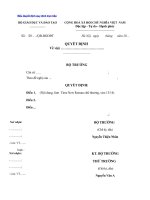 Mẫu Quyết định quy định trực tiếp