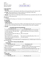 TẾ BÀO NHÂN THỰC (T1)