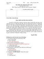 Đề kiểm tra giữa kì 1 môn Tiếng Việt  ( Chuẩn KTKN)