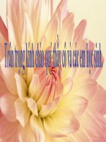 LT & câu: Vị ngữ trong câu kể - Ai thế nào?