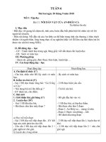 giao án lớp 4- CKTKH+BVMT