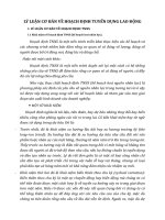 LÝ LUẬN CƠ BẢN VỀ HOẠCH ĐỊNH TUYỂN DỤNG LAO ĐỘNG