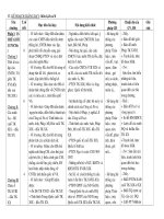 Kế hoạch giảng dạy Lịch Sử 8