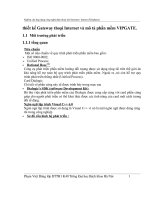 Thiết kế Gateway thoại Internet và mô tả phần mềm VIPGATE