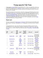 Trạng nguyên Việt Nam